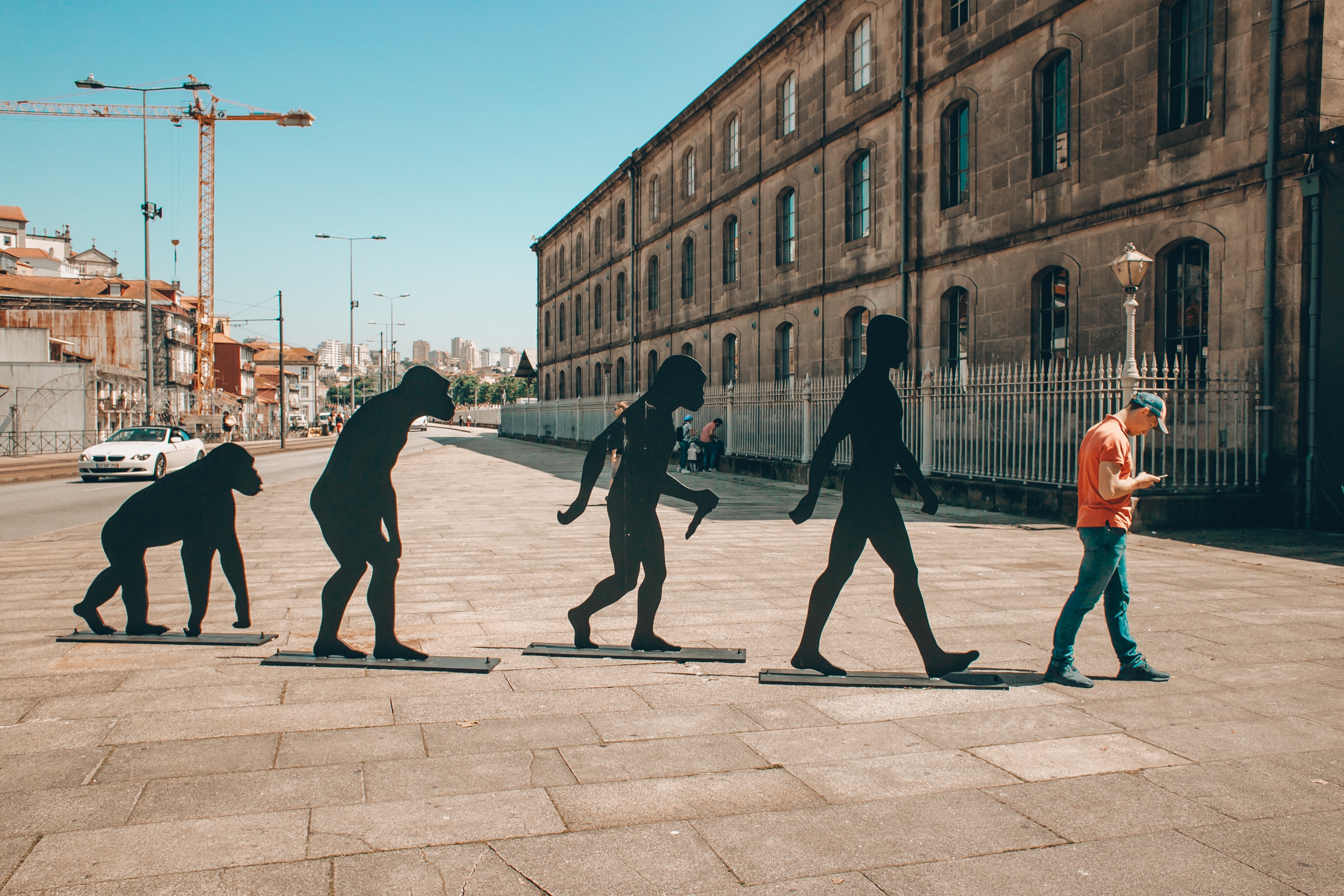Picture of human evolution